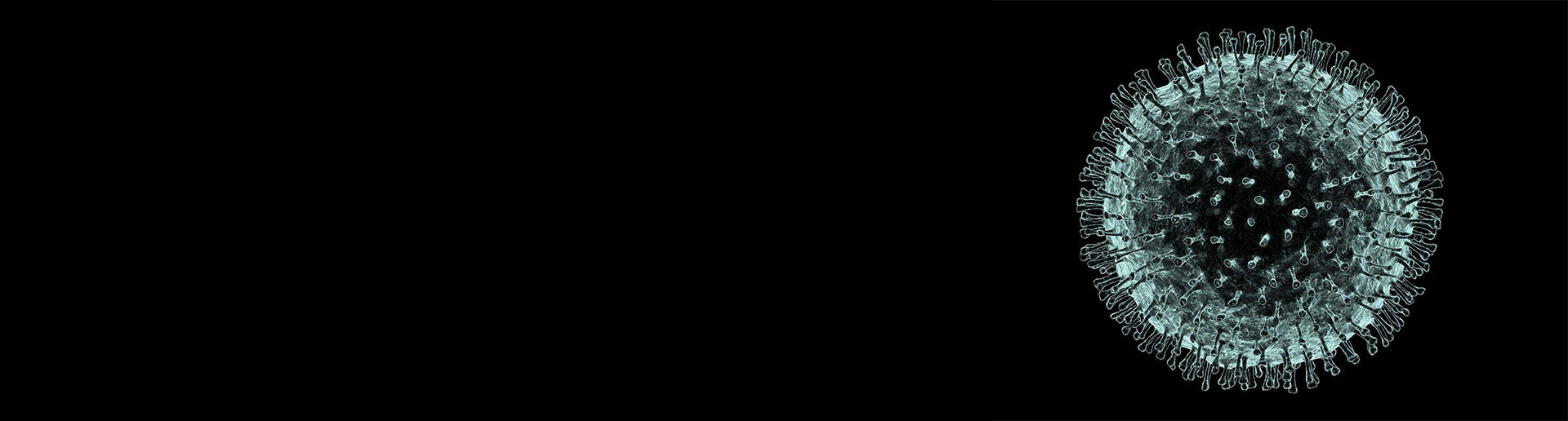 LCIAD Coronavirus COVID 19 banner