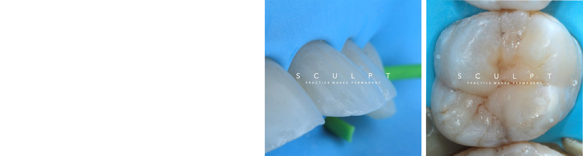 SCULPT – a new way to train