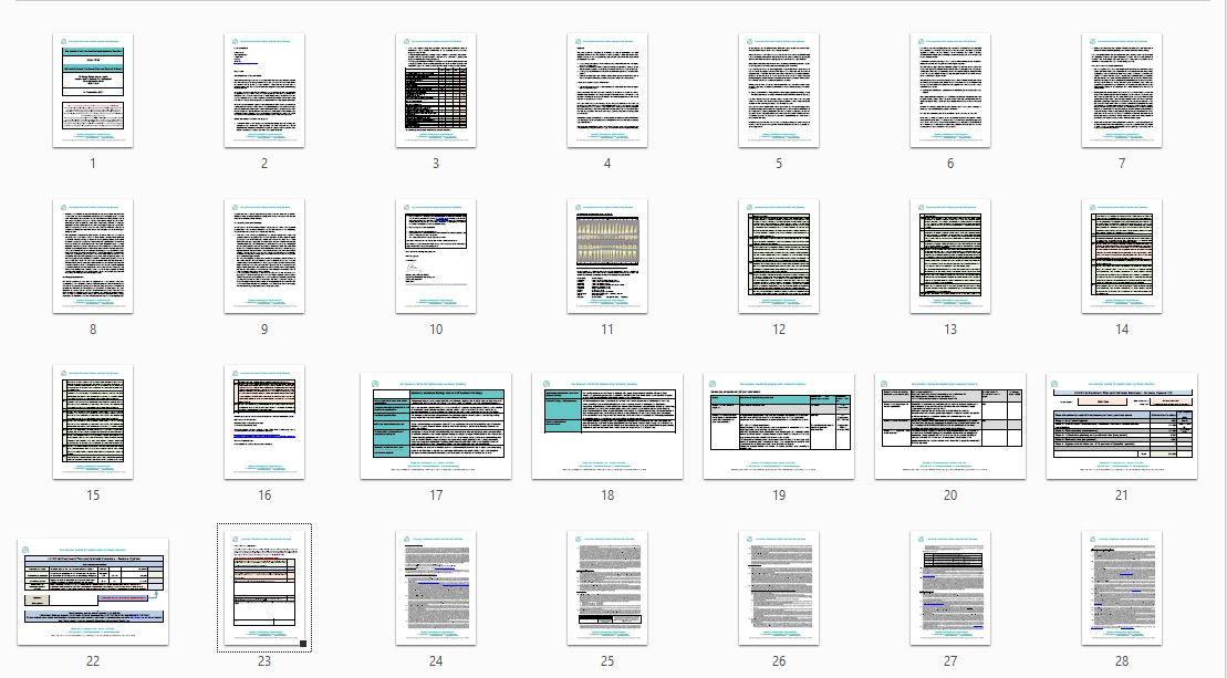 LCIAD Full Dental Report Pages